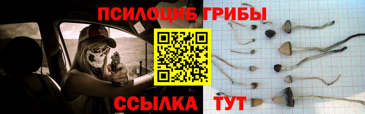 Ирбит  Псилоцибиновые грибы MAGIC MUSHROOMS  Вход с VPN 